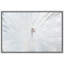 «Animals Vibrant Bright White Peacock Bird» sur toile-93629443-93629446