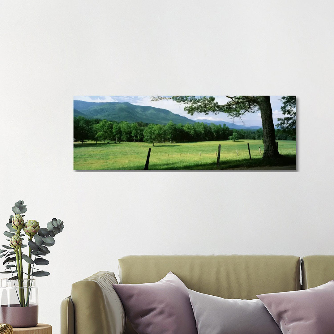 Parceled Meadow, Cades Cove, Great Smoky Mountains National Park, Tennessee, USA - Wrapped Canvas Panoramic Print