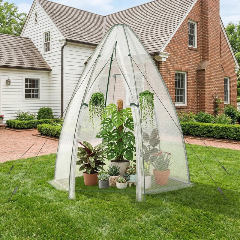 5.5'X5.5'X6' Portable Mini Garden Greenhouse, Thick All-Weather Waterproof PE Cover & Reinforced Rust-Resistant Frame