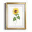Tournesol II - imprimé-440758249-440758245