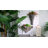 Kronburgh Wall Planter