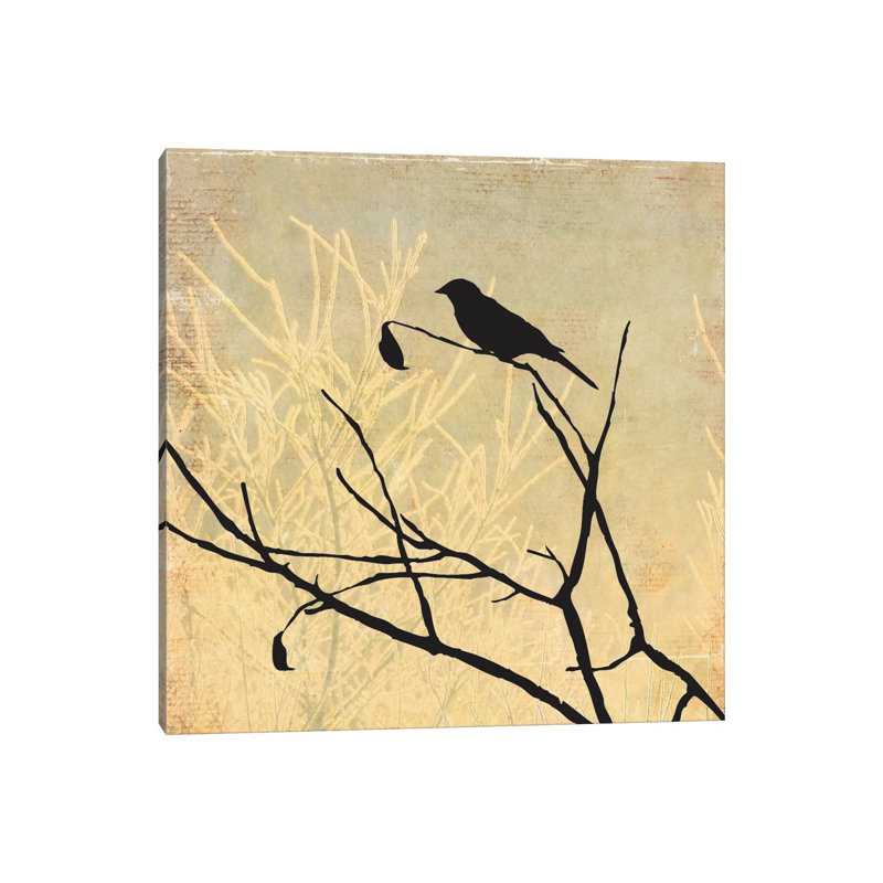 Perched by Allison Pearce - Wrapped Canvas Print, 30.48cm H x 30.48cm W x 1.91cm D
