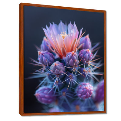 Cactus rose et mauve