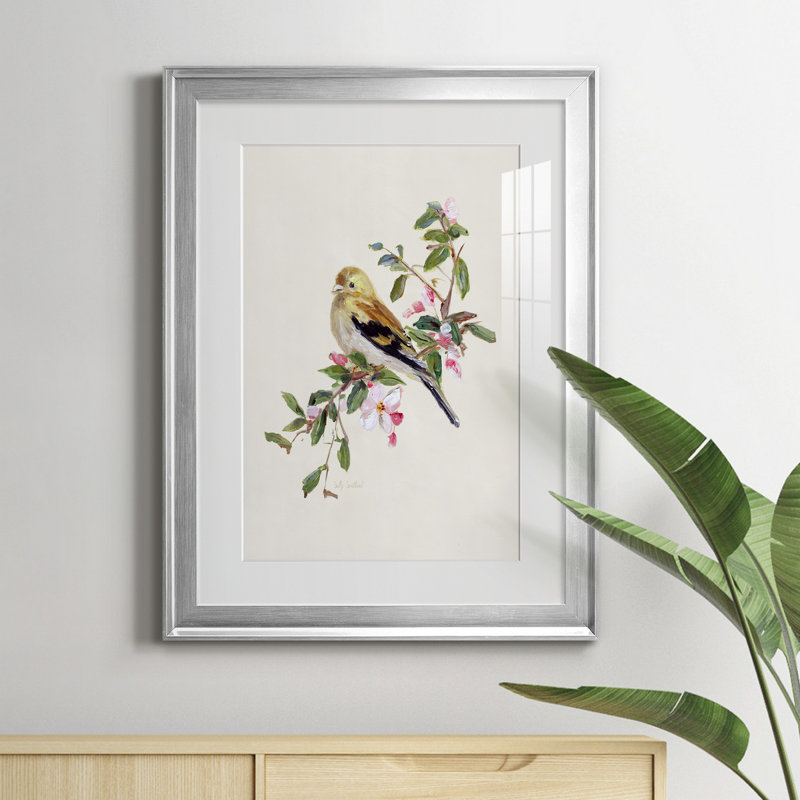 Spring Spring Pine Grosbeak - peinture encadrée, Argent, H 22,5 po x l 30,5 po x P 1,5 po