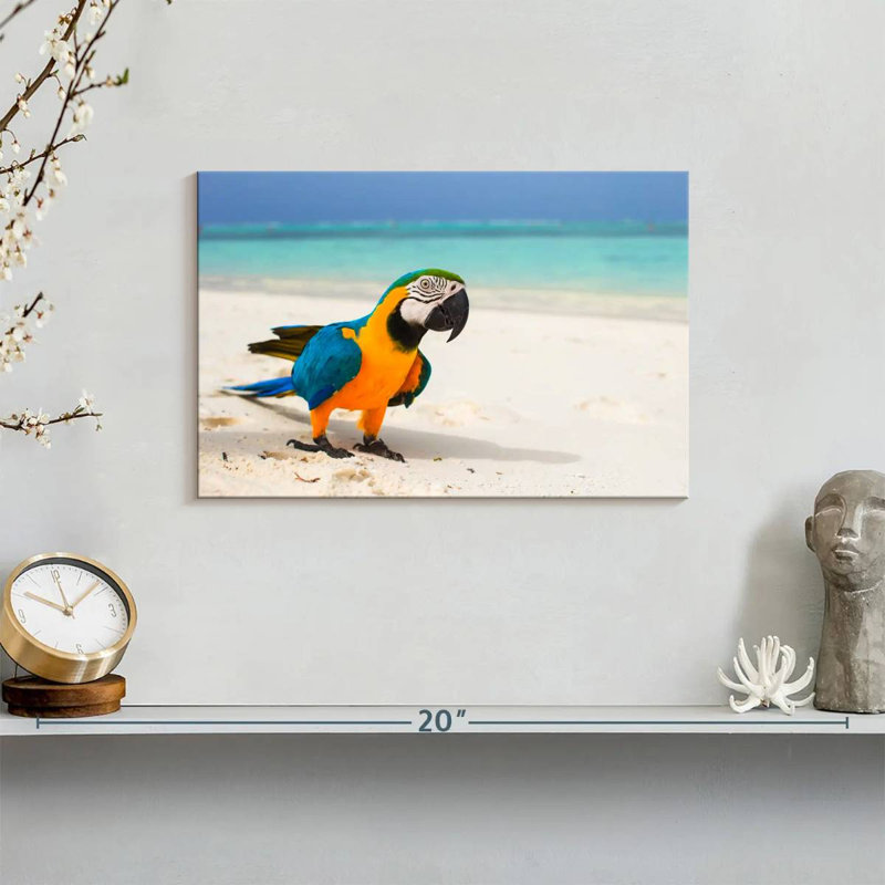 Brampt Macaw On White Sand, 8" H x 12" W