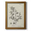 Toile encadrée de qualité supérieure antique noir et blanc botanique IV - prête à être accrochée-1285329258
