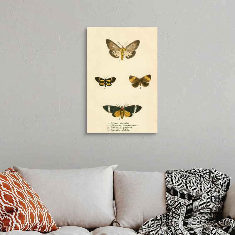 Papillons par English School - reproduction sur toile, H 30 po x l 20 po x P 1,25 po, Toile tendue