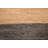 Gabbeh Kashkoli One-of-a-Kind 2'7" X 7'11" New Age Runner Wool Area Rug in Multicolor