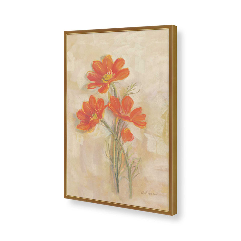 Spicy Orange Cosmos By Carol Rowan Canvas Art Print, 40" H x 30" W, Gold