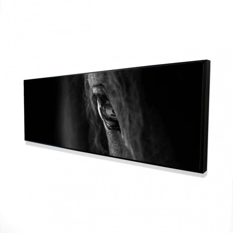 «Black Horse» sur toile, H 16 po x l 48 po
