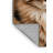 Washable Somali Cats Area Rug-874599757