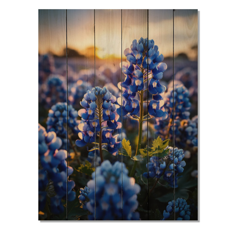 Bluebonnets Flower Blissful II - impression florale et botanique sur bois de pin naturel, H 20 po x l 10 po x P 0,78 po