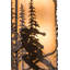 Applique murale 2 lumières Alpine