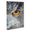Eye Of An Owl - Wrapped Canvas-56643146
