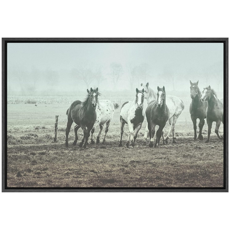 "Chevaux galopant sur des animaux de la ferme" sur, Cadre flottant noir, H 24 po x l 36 po