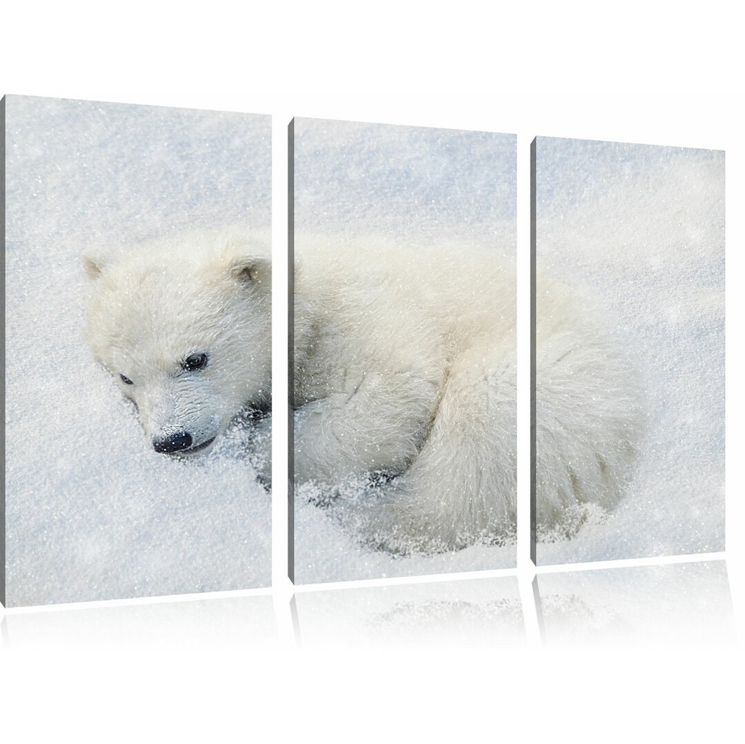 3-tlg. Leinwandbilder-Set Süßer junger Eisbär im Schnee, Fotodruck