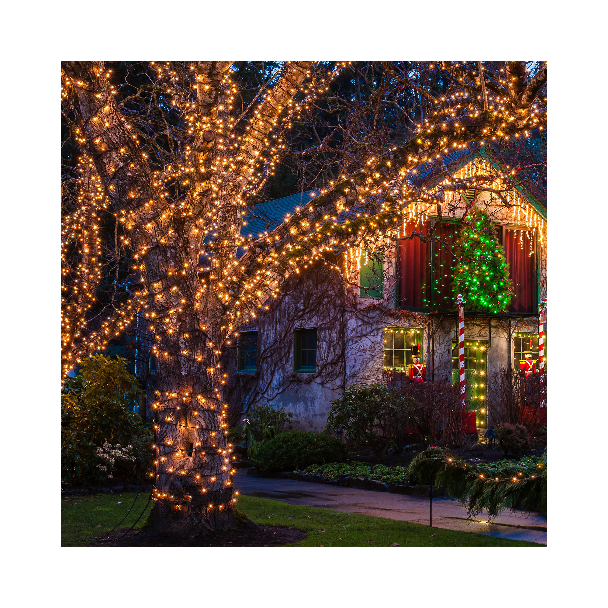 Outdoor LED String Lights with Modes, 393", Warm White