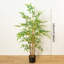 Faux Bonsai Plant in Freestanding-129743092