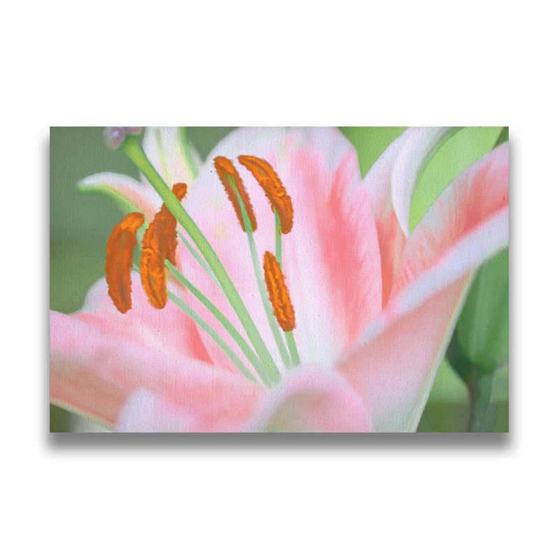 Lily A Go Go par Hal Halli. Toile giclée sur toile tendue avec cadre flottant, H 30 po x l 45 po, Toile tendue