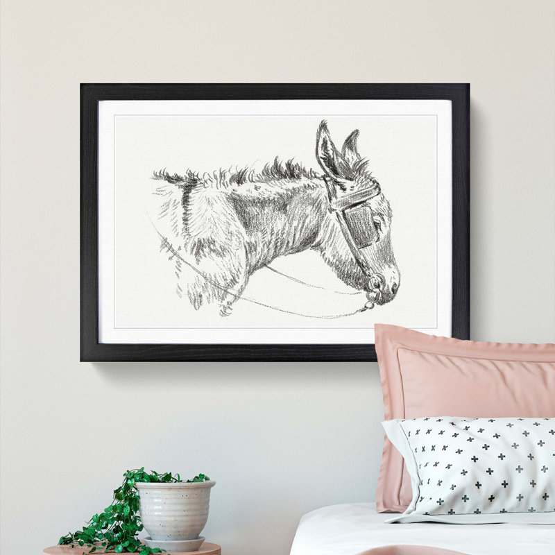 The Head of a Donkey by Jean Bernard - Picture Frame Drawing Print, Black Framed, 36cm H x 48cm W x 2cm D