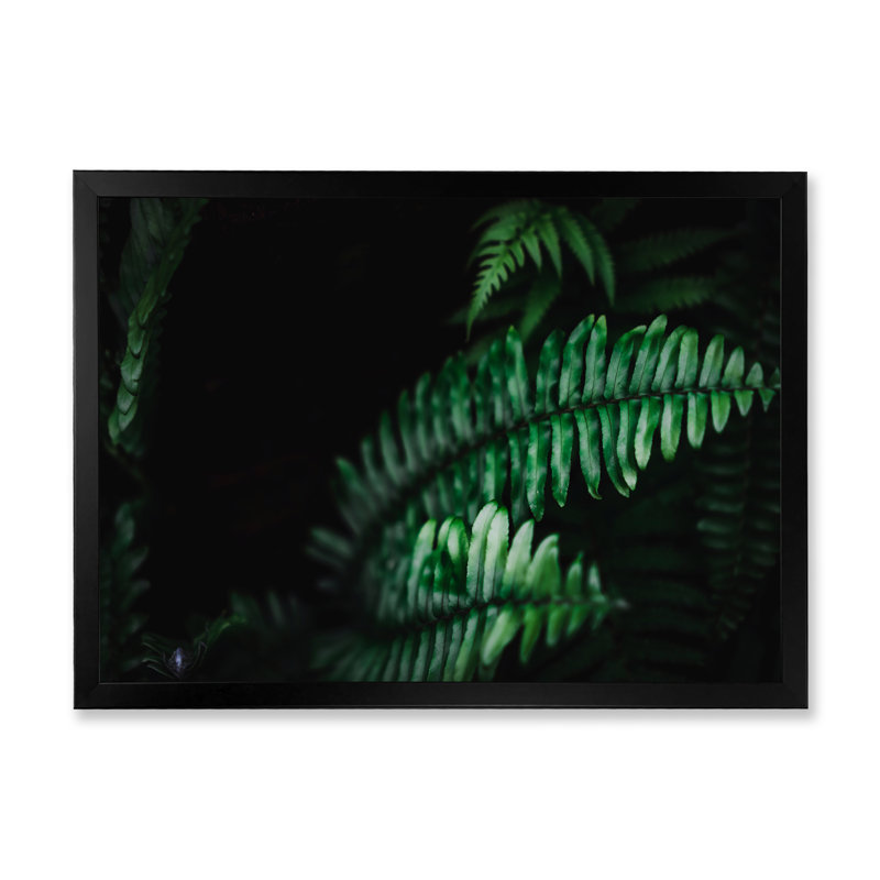 «Tropical Summer Green Leaf With Sunlight», reproduction d'art sur toile tropicale, Cadre d'angle fermé noir