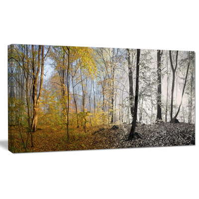 «Yellow Morning in Forest Panorama», reproduction de photo sur toile tendue