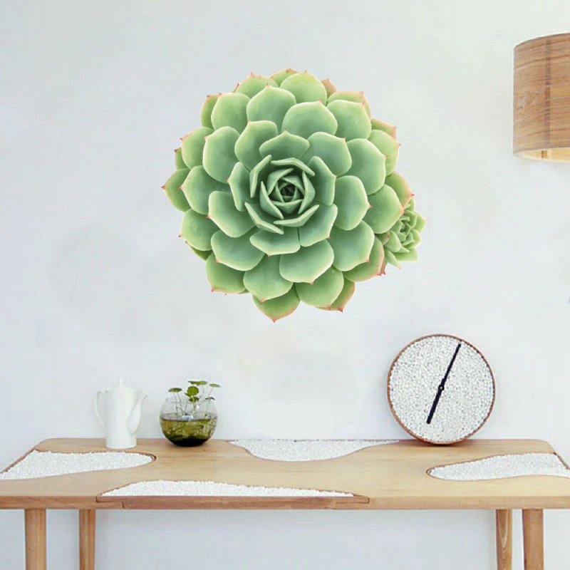 Adhésif décoratif succulent, H 28 po x l 28 po