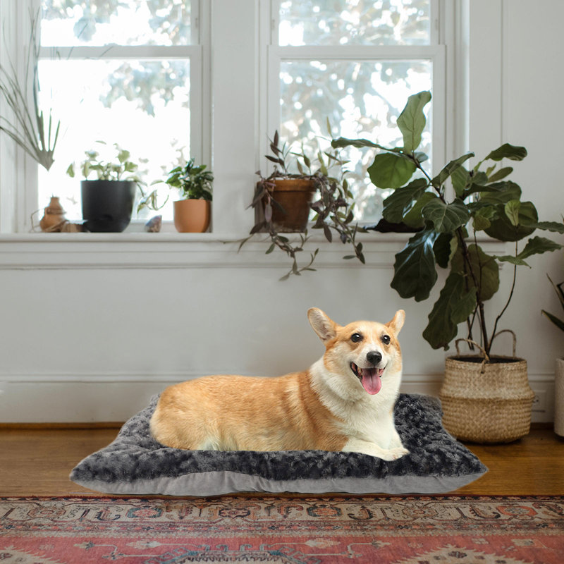 Tapis pour chien Telscombe, Grand (l 35,43 po x P 24,41 po x H 3,15 po)