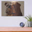 «Bulldog» par Thomas Fluharty