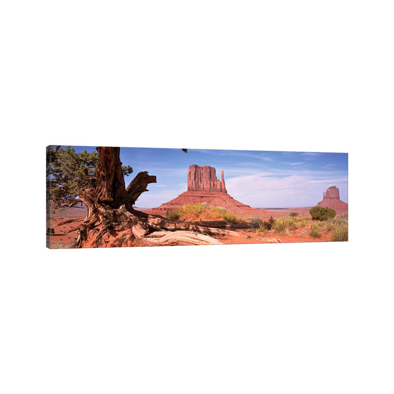 West And East Mitten Buttes (the Mittens) With A Gnarled Tree Trunk In The Foreground, Monument Valley, Navajo Nation, USA by Panoramic Images - Wrapped Canvas Panoramic Print