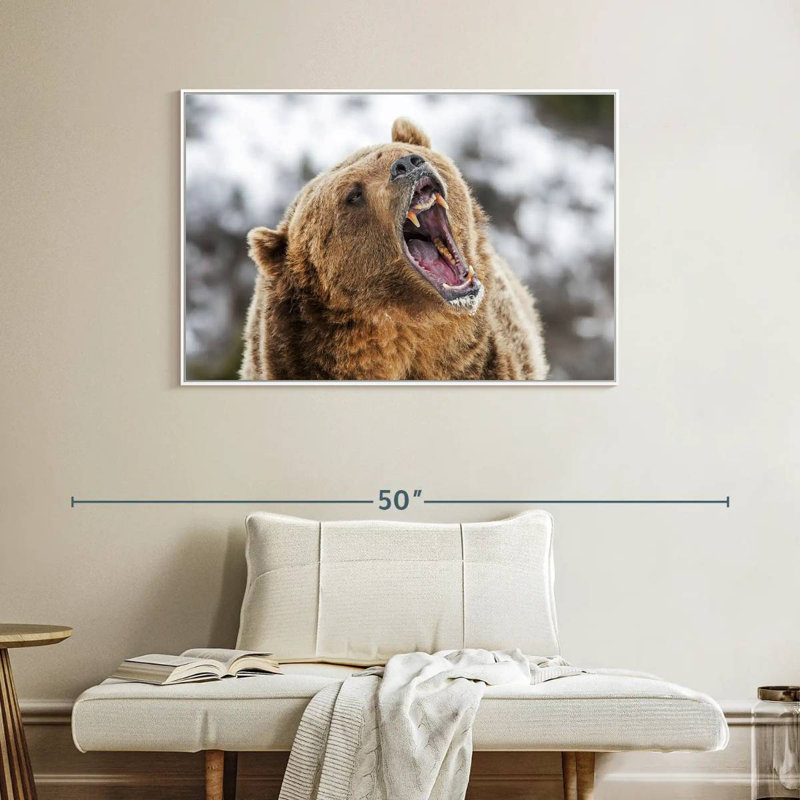 Grizzly rugissant, Cadre flottant blanc, 40 po x 27 po