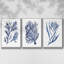 Seaweed Under Water I, ensemble de 3 toiles encadrées sur toile-97706829-97706828