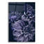 Secret 15 - impression sans cadre-928697941