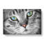 Portrait Of A Cat Vol.2 - Wrapped Canvas-61838680