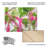 Mandy Disher  Fuchsia Freeze Wood Slat Art-1275386161