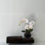 Arrangement floral orchidée phalaenopsis et vase central - noir élégant décor à la maison-1196714230