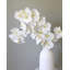 Green Phalaenopsis Orchid 33"-97239990-97239991