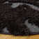 Chanhassen Shag Performance Floral Rug