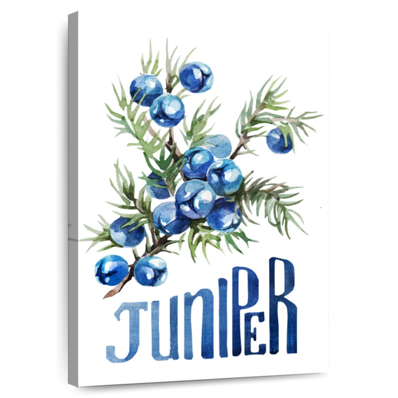 Yarlin Juniper Berries, 48" H x 32" W