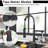 FLG Kitchen Faucet with Soap Dispenser
