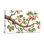 Plantes et fleurs, branche de pommier avec fruits rouges et feuilles vertes