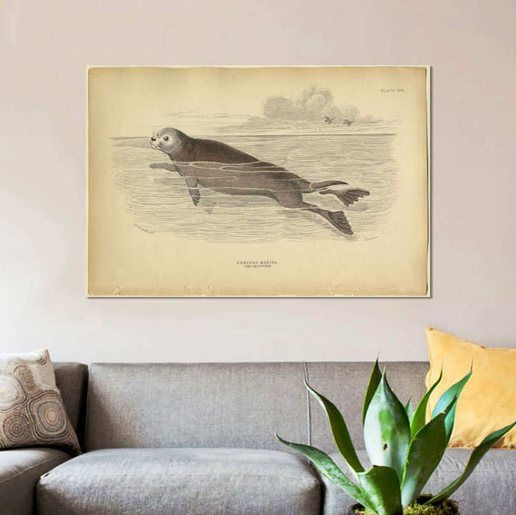 " Sea Otter " by PI Collection, 8" H x 12" W x 0.75" D, Wrapped Canvas, No Mat