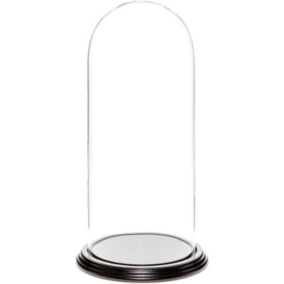 Vucciria Glass Display Dome Cloche