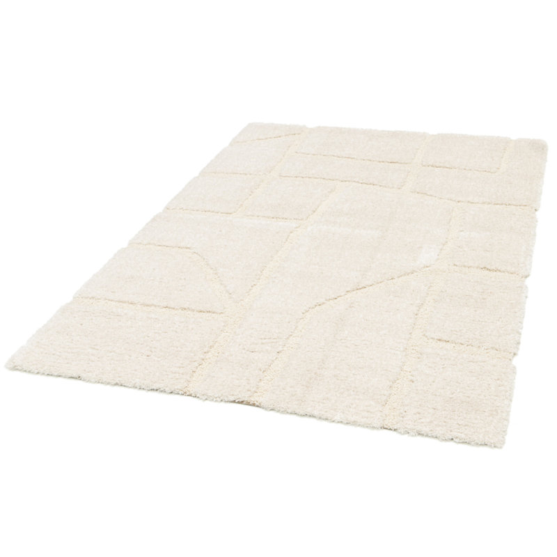 Abstract Shag Area Rug, Rectangle 120 x 170 cm
