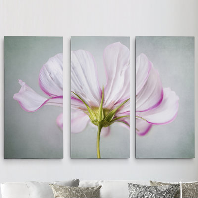 Une photographie à plusieurs images à motif floral de qualité supérieure sur toile