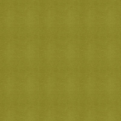 Vela Fabric