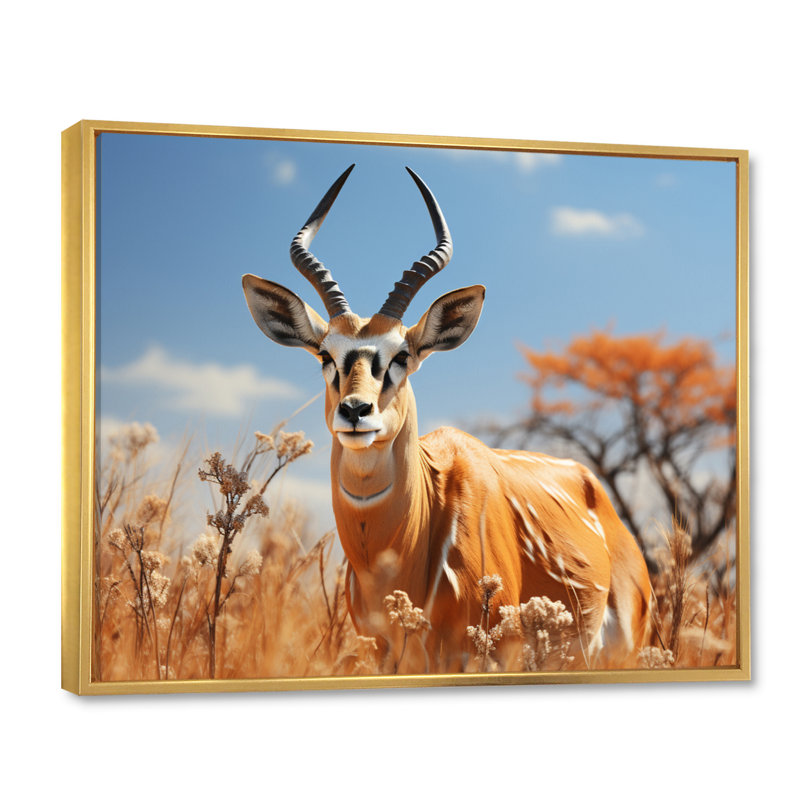 Bekka Antelope Graceful Wanderer, reproduction d'art sur toile, H 34 po x l 44 po x P 1,5 po, Cadre flottant doré