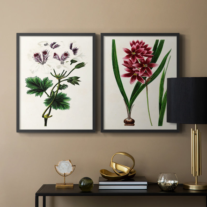 AntiqueFloralFolioIX - reproduction encadrée de qualité supérieure - prête à être accrochée - aucun clou requis - aucun clou requis