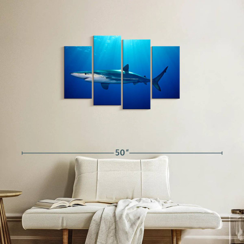 Brampt Blue Shark In Gordon's Bay, 22" H x 36" W