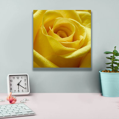 " Yellow Rose " by PhotoINC Studio